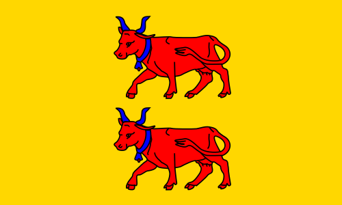 drapeau_bearn