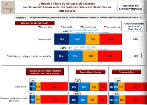 Sondage Homo