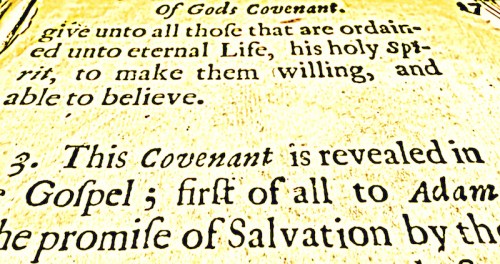 Théologie des Alliances